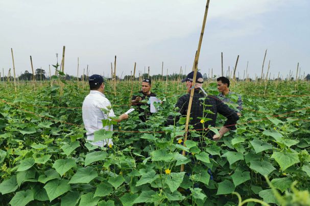 Develop Bio-Fungicide to control plant diseases